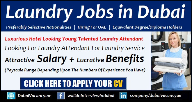 Laundry Jobs in Dubai 1